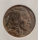 1938-D Buffalo Nickel 5c - graded ANACS MS66