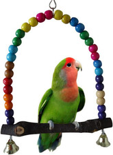 Bird Swing, Parakeet, Budgie and Hummingbird Swing Perch, Wooden Dowel Makes for
