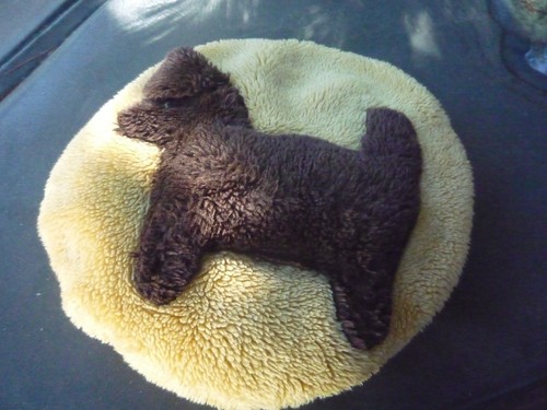 *Celebrity owned rare black Scottish Terrier/soft yellow faux fur pillow w/ COA.