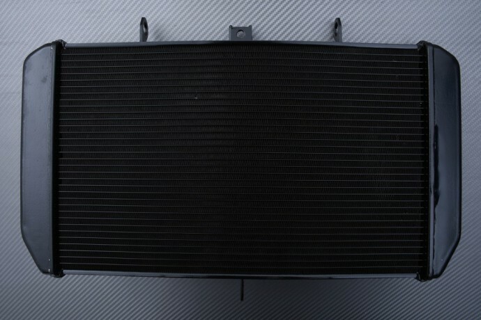 Radiateur de rechange Benelli BN-600 pour rouler au frais en été