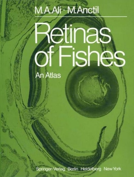 Retinas Of Fishes Mohamed A. Ali-image