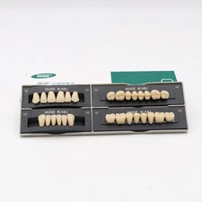 1 Sets Dental Acrylic Resin Denture Shade Full Set DIY False Teeth Upper Lower