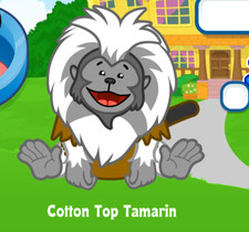 Webkinz Cotton Top Tamarin Virtual Adoption Code Only Messaged Webkinz Monkey