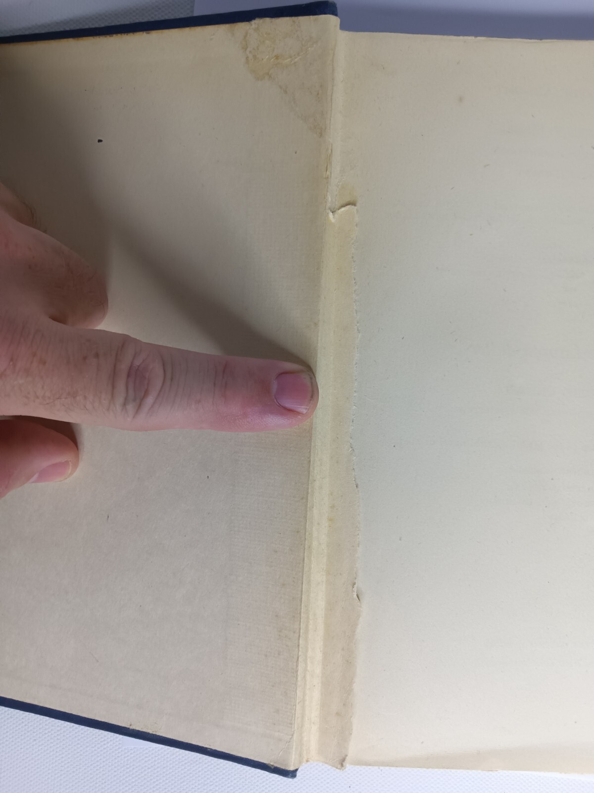 Picture 2 of 15