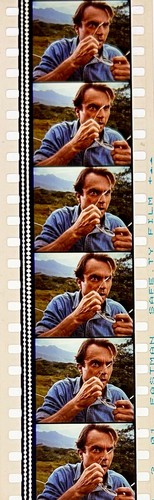 Jurassic Park 1993 Very Rare Unmounted 35mm Film Cells - Steven Spielberg - Picture 97 of 142