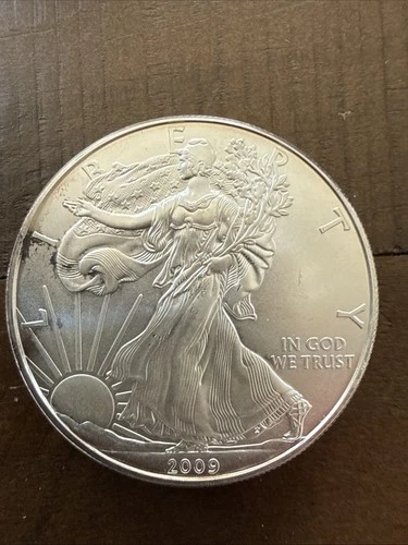 2009 Silver American Eagle Walking Liberty Dollar US Coins Uncirculated