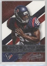 2014 Panini Absolute Hogg Heaven Jadeveon Clowney #19 2i2