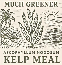 Kelp Granules of Ascophyllum Nodosum. Natural fertilizer NPK 1-0-3, choose Qty.