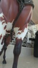 Bild 6 von 24