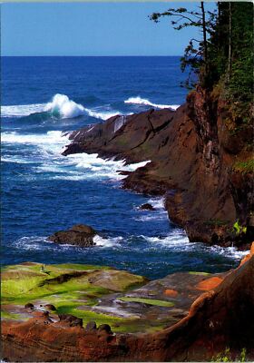 Oregon Coast OR North Point Cliffside Postcard unused (18011)
