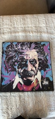 Albert Einstein E = MC2 by David Garibaldi 2  x 2 