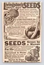 Livingston's True Blue Seeds Vegetable Art Columbus OH 1880s Victorian Print Ad