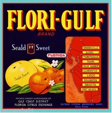 Elfers Florida Flori-Gulf Orange Citrus Fruit Crate Label Art Print