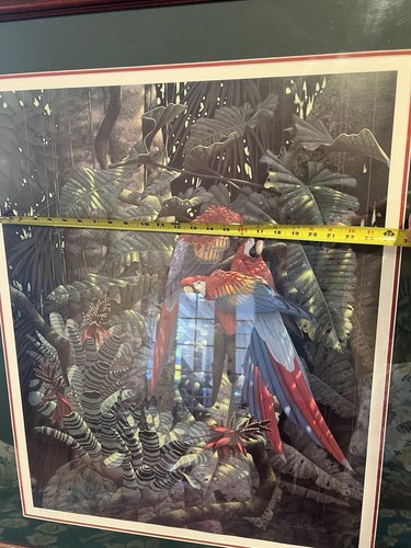 Scarlet Macaws Print Art by Richard Sloan ~ Fire In The Forest Image Sz 30x24 - Picture 4 of 7