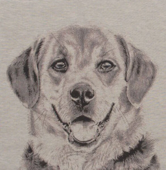 Fundas de almohada de cojín de tapiz con acento jacquard Happy Canine II (nuevas) 16x16 pulgadas Foto 3 de 4