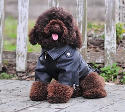 Cool Dog Leather Jacket Coat Winter Warm Dog Pet Clothes For - Main Image