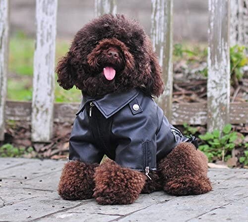 Cool Dog Leather Jacket Coat Winter Warm Dog Pet Clothes For Medium/Large Dogs - Picture 1 of 7