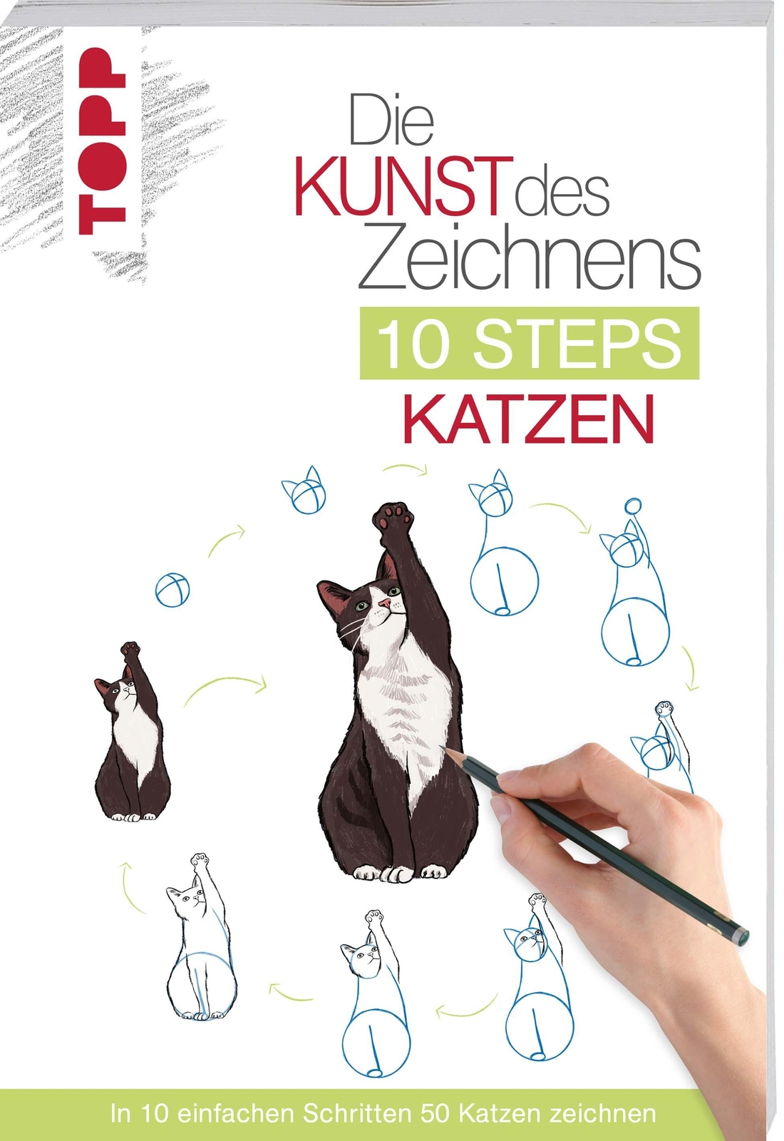 Thumbnail - Die Kunst Des Zeichnens 10 Steps - Katzen Justine Lecouffe