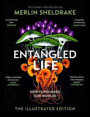 Entangled Life (The Illustrated Edition) How Fungi Make Our World