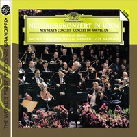 Johann Strauss Ii (1825-1899): Das Neujahrskonzert Wien 1987 - Deutsche G 47763