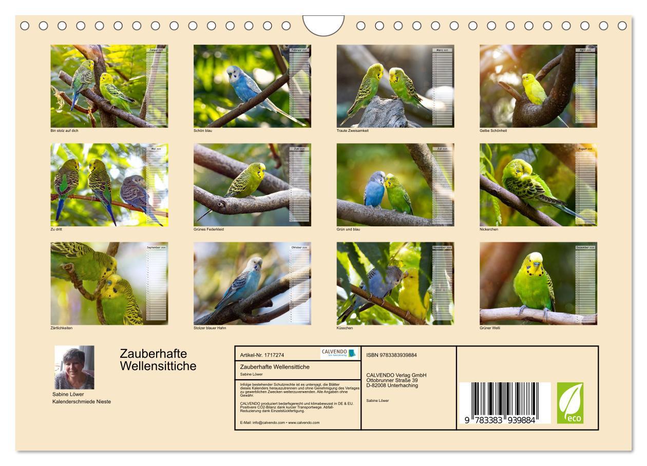 Bild 2 von 9