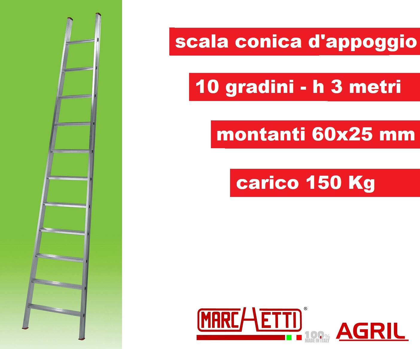Scala in Alluminio Conica 10 Gradini 3m | Ideale Potatura Olivi e Raccolta