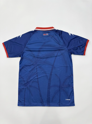 Haiti 2026 World Cup Soccer Jersey Fan Edition Blue - XL | eBay