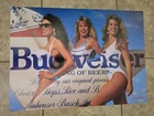 Budweiser 1992 Vintage Logo Surfboard Beer Swimsuit Pinup Girls Models Poster