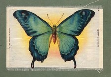 Cigarette cards silk inserts LARGE size Butterfly 1913 ATC Tokio brand cigs.#611
