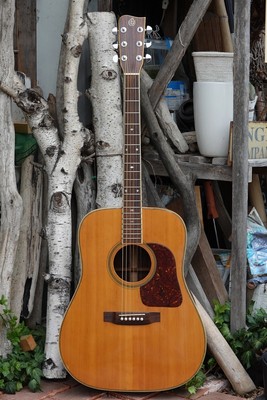 Takamine Elite TW-30 (1975) (250329) | eBay