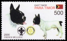 TIMOR LESTE 2000n - Dogs of the World "French Bulldog" (pb74114+)