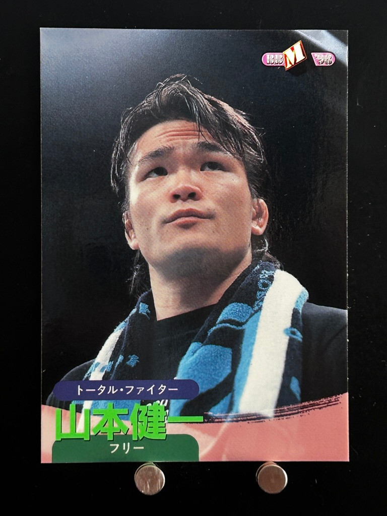 Kenichi Yamamoto Pro Wrestling Card 70 Professional Japanese 1998
