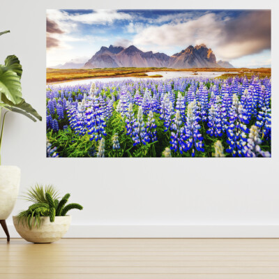 Majestätische Lupinenblumen, Sonnenlicht 3D Ansicht Wandaufkleber Poster Aufkleber A745