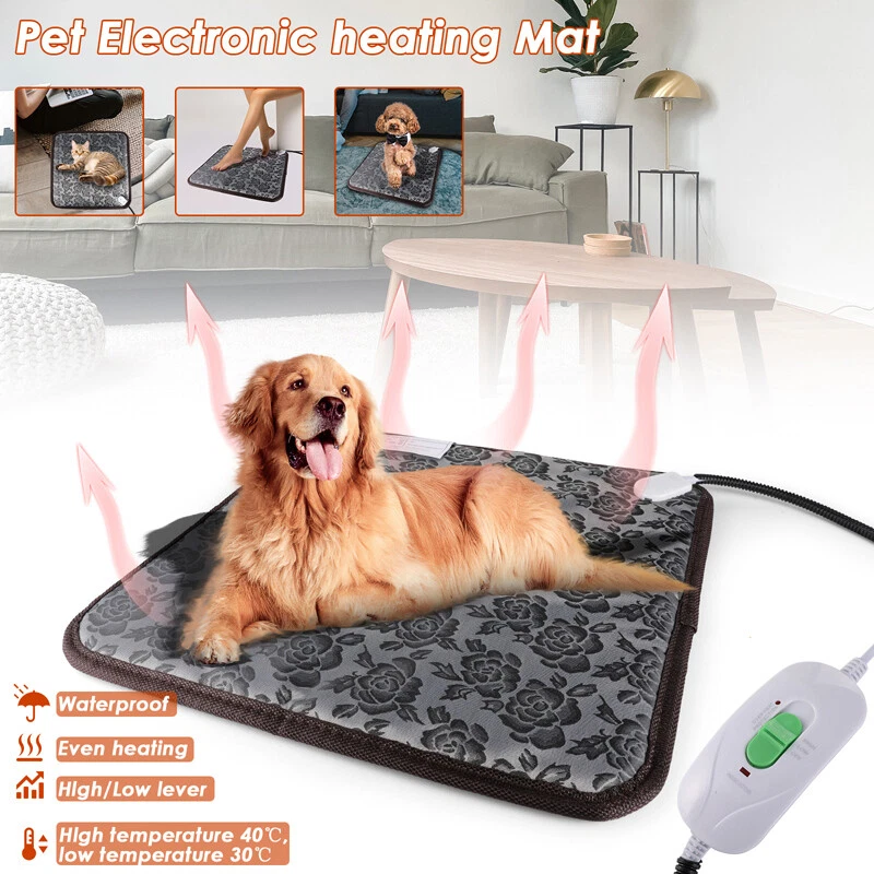 Petsafe heating best sale pad