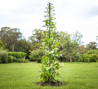 Trellis for Climbing Plants Outdoor or Indoor,73inch Tall Garden Trellis for ...