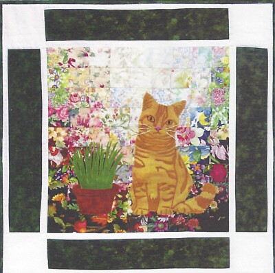Tigger British Shorthair Cat watercolor kit by Whims