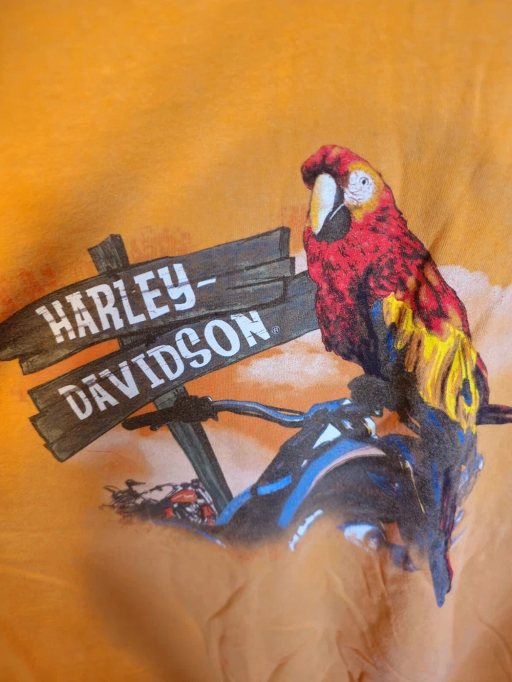 Camiseta Northwoods 2007 Harley-Davidson talla 3XL Gaylord Michigan coleccionable  Foto 3 de 4