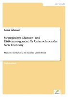 Strategisches Chancen- Und Risikomanagement FüR Unternehmen Der New Economy Andr