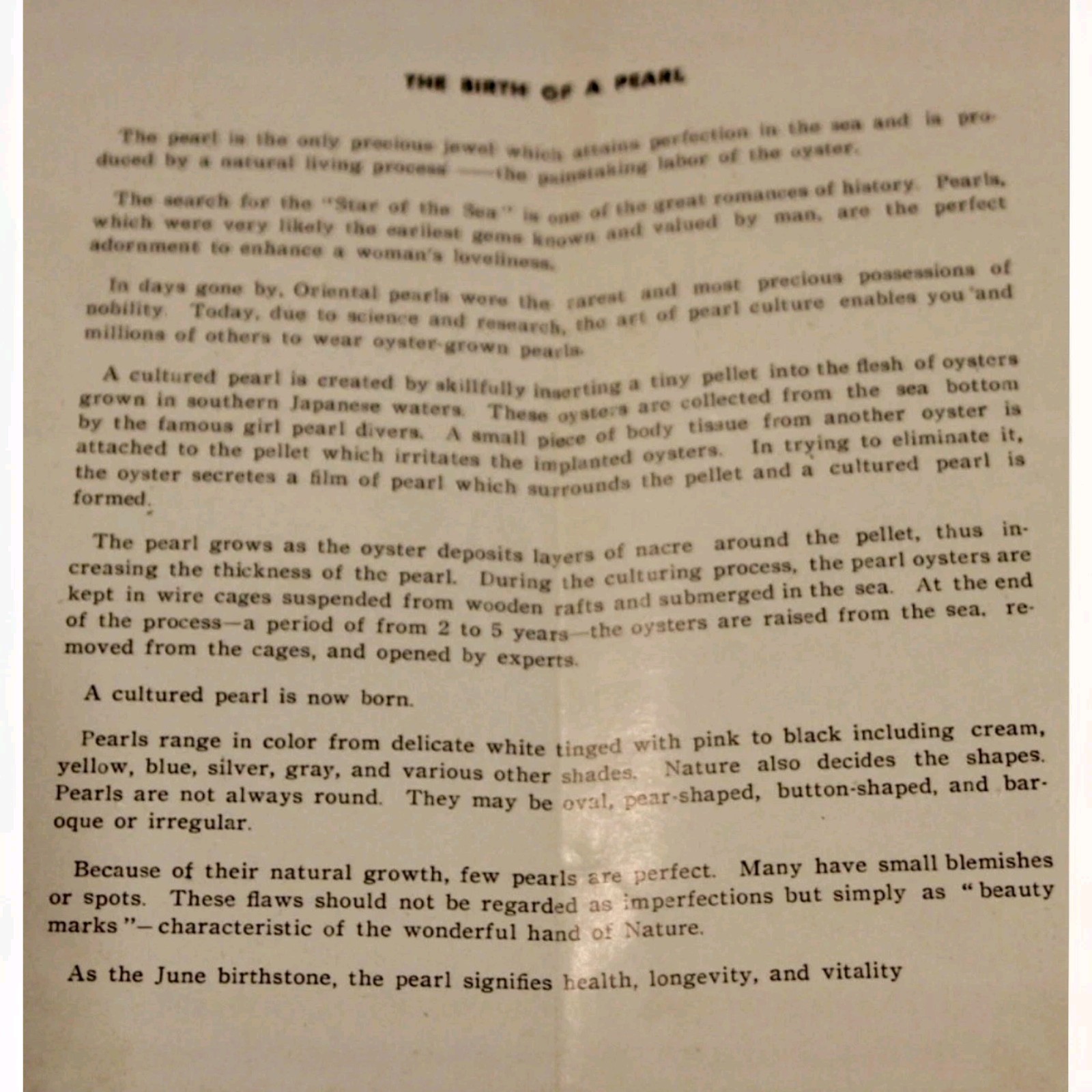 Vintage Akoya Cultured Pearl Necklace | Sterling Silver Clasp | Mint in Original