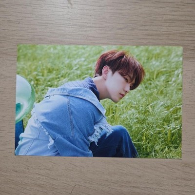 SEVENTEEN Hoshi Concept Zone Photo Collectible Waterproof Protection
