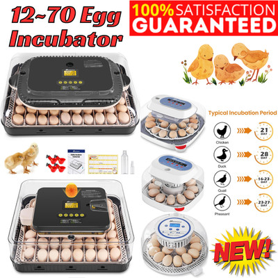 12/18/24/48/56/70 Egg Incubators for Hatching Eggs with Automatic Egg Turning 