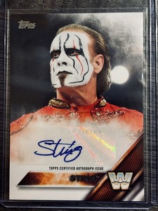 Sting Auto | eBay