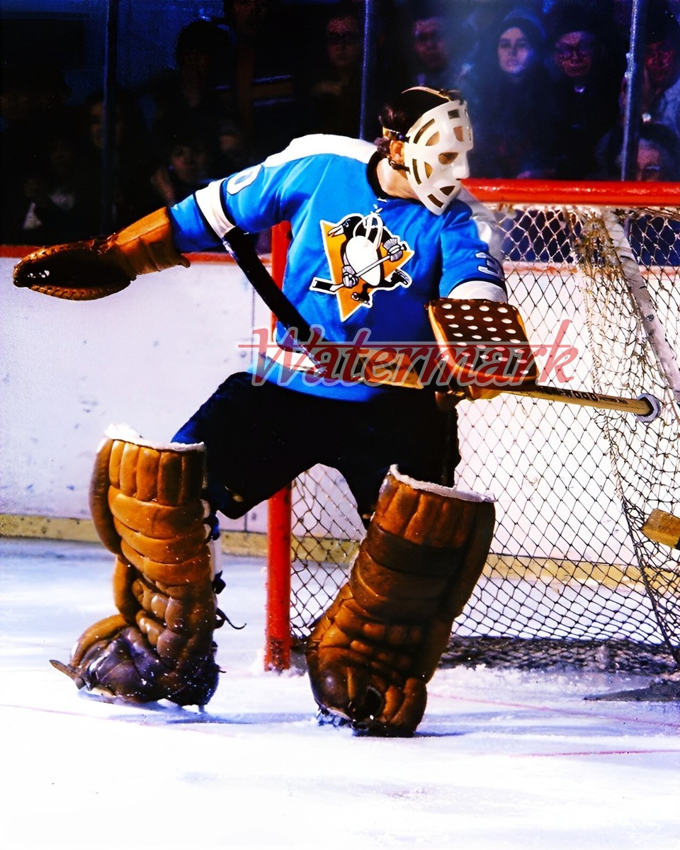NHL Pittsburgh Penguins Goalie Les Binkley Color Game Action 8 X