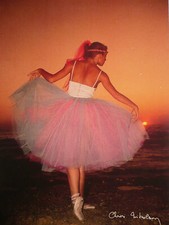 Carte Postale   CHRIS NIKOLSON   Format 12x17cm  Postcard  CP