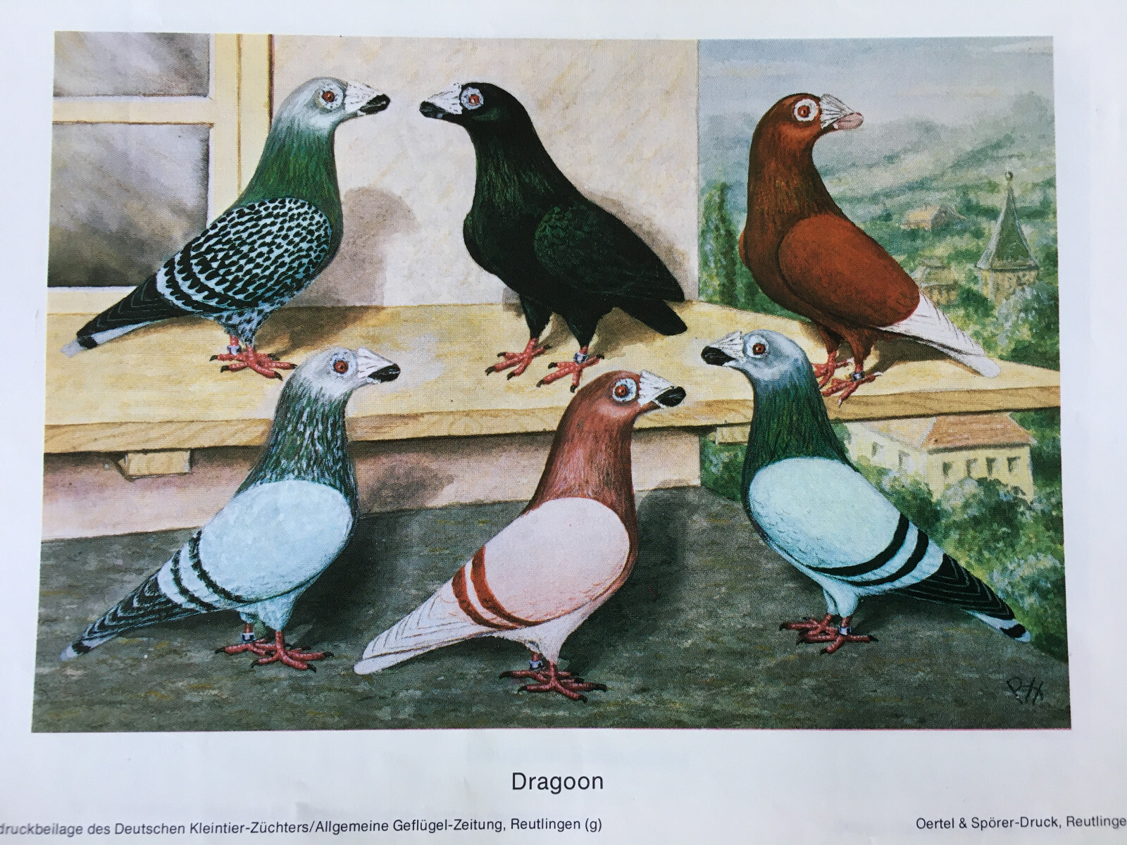 Picture 19 of 25