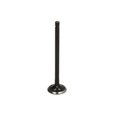 Auslaßventil FRECCIA R6594/RNT