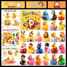 24 Pcs Assorted Rubber Ducks - Bath Floater Toys for Kids, Pool Party Favors