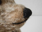 Bild 8 von 14