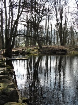 Foto 6x4 Fischteich Holz Pateley Brücke Eine Ecke des Teiches im Fischteich W c2018