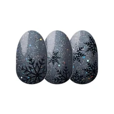 Color Street Nails ~ SILENT SNOWSTORM ~ Winter Retreat Collection